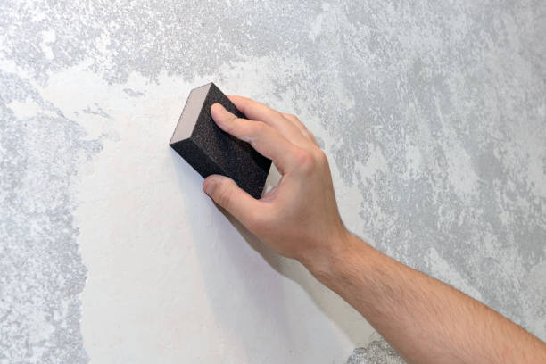 Best Black Mold Removal  in Ripley, WV