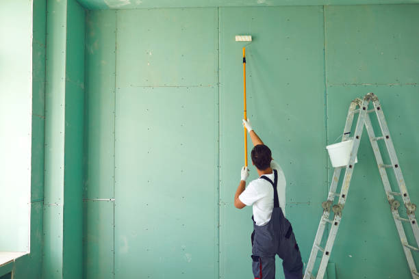 Best Mold Remediation for Healthcare Facilities  in Ripley, WV