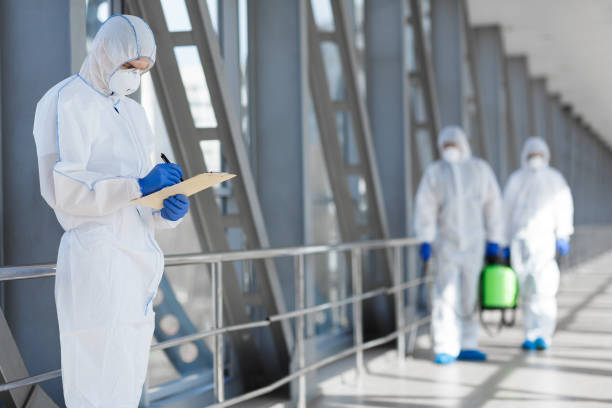 Best Post-Remediation Verification Testing  in Ripley, WV