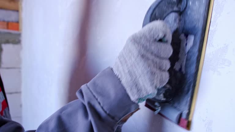 Best Biohazard Mold Removal  in Ripley, WV