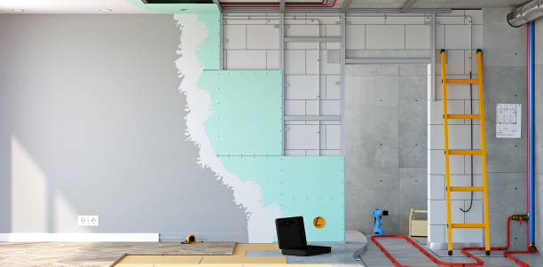 Best Mold Removal for HVAC Installations  in Ripley, WV