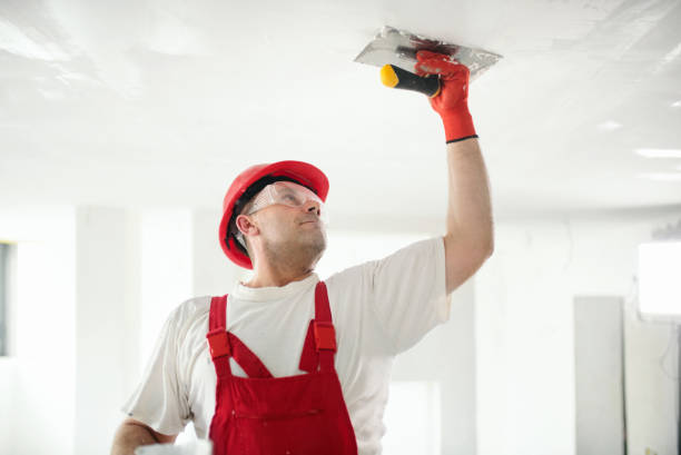 Professional Mold Removal in Ripley, WV