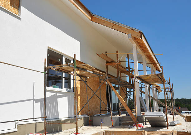  Ripley, WV Mold Removal Pros