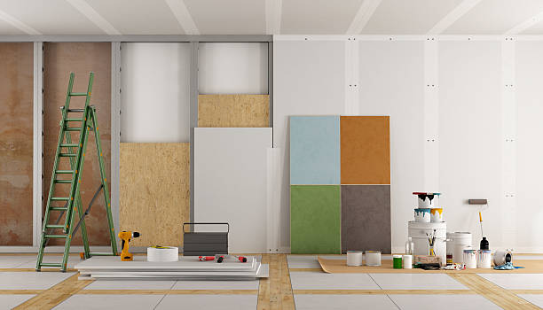 Best Mold Damage Restoration  in Ripley, WV
